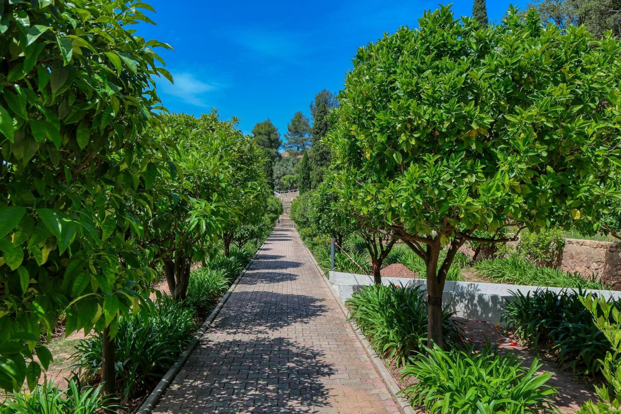 Domaine Des Gueules Cassees Hotell La Valette-du-Var Eksteriør bilde