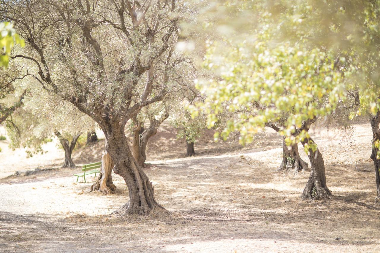 Domaine Des Gueules Cassees Hotell La Valette-du-Var Eksteriør bilde